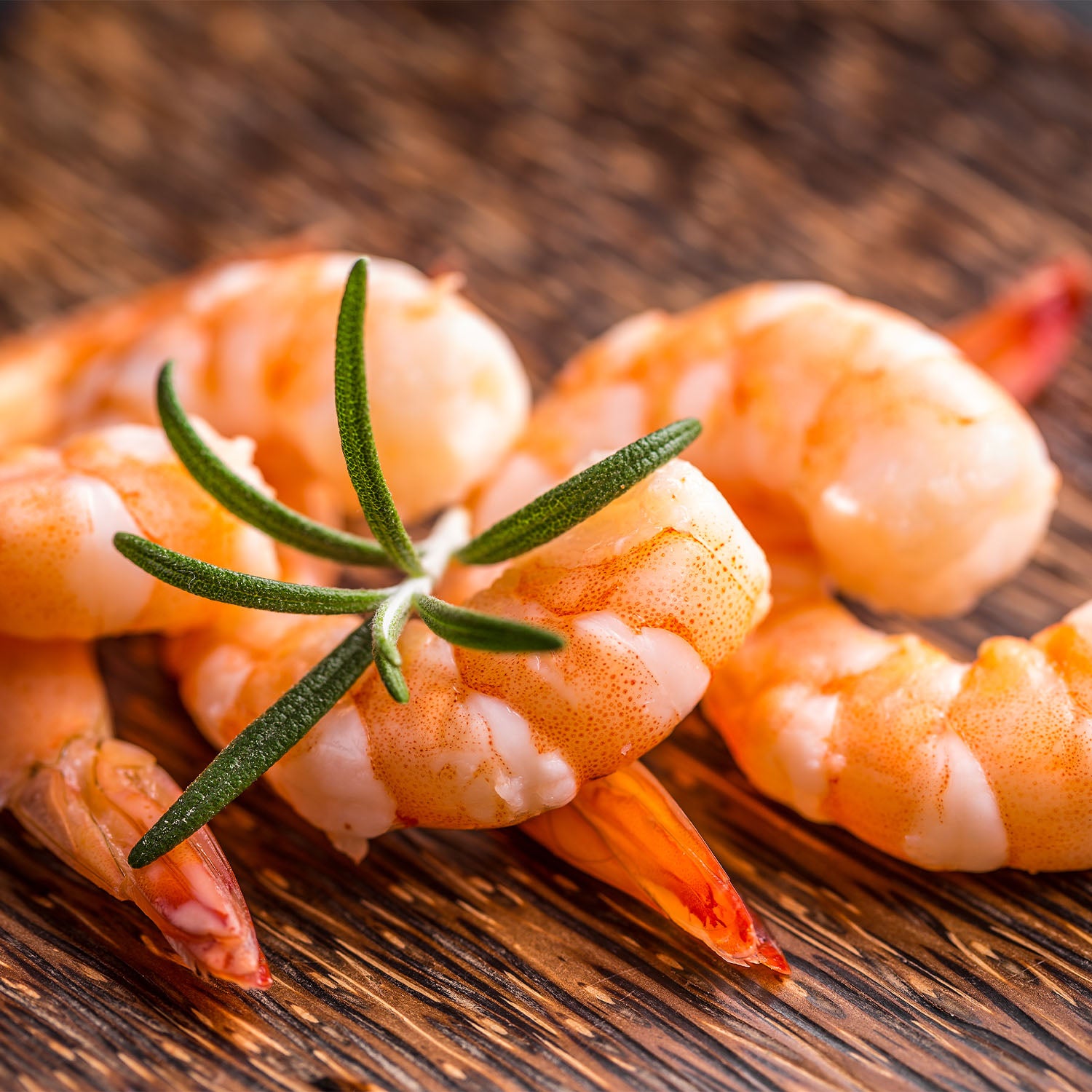 Christmas Seafood Medley